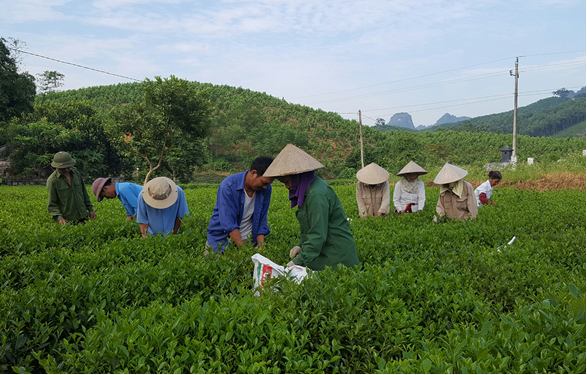 Những đổi thay trên quê hương Văn Lăng