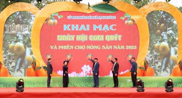Thái Nguyên: Rộn ràng Ngày hội cam, quýt Bạch Thông