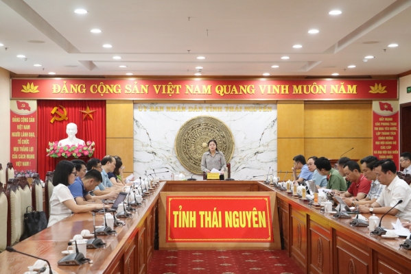 Rà soát tiến độ thực hiện các nhiệm vụ phục vụ Đại hội đại biểu Đảng bộ tỉnh Thái Nguyên, nhiệm kỳ 2025 - 2030