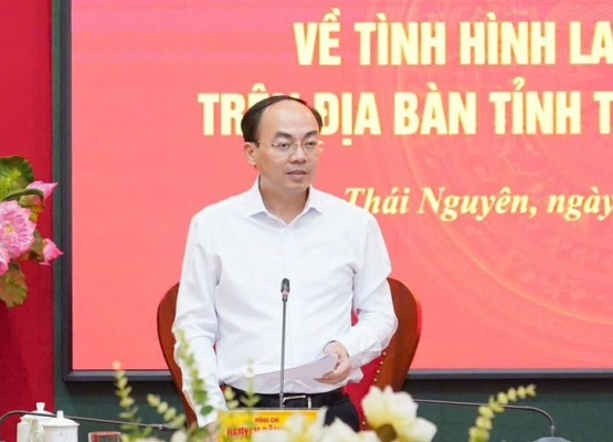 Rà soát, đánh giá tình hình lao động, việc làm trên địa bàn tỉnh
