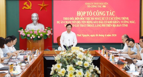 Sớm đề xuất giải pháp khả thi để xử lý dứt điểm các dự án chậm tiến độ, tồn đọng kéo dài