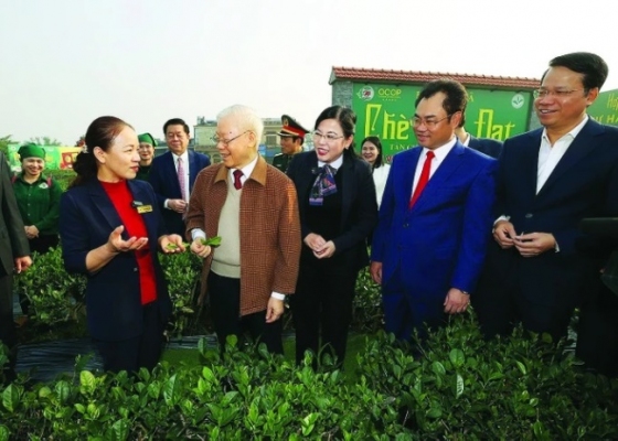 Phát huy giá trị cây chè, văn hoá Trà - Vùng chè đặc sản Tân Cương bảo đảm “Đồng bộ, hài hoà với tăng trưởng kinh tế”