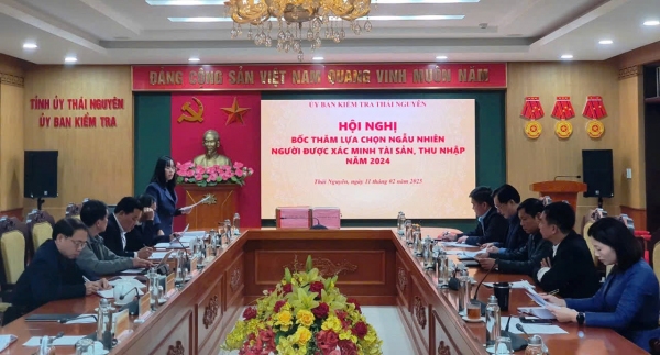 Giám sát việc thực hiện kê khai tài sản, thu nhập năm 2024