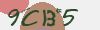 Mã bảo mật