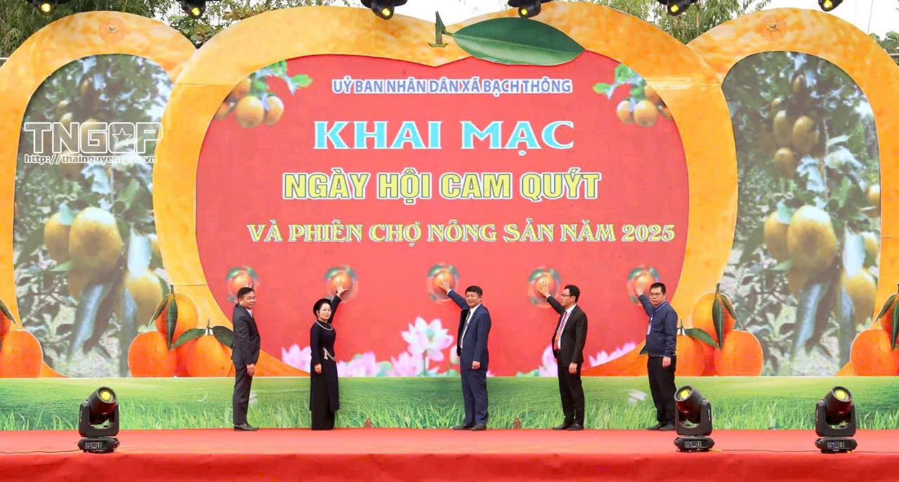 image 20251207083013 1