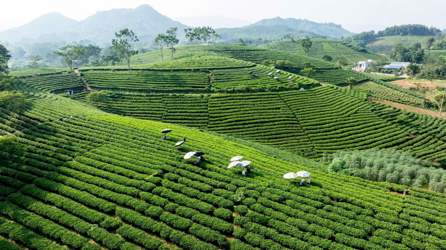 image 20260402175247 2