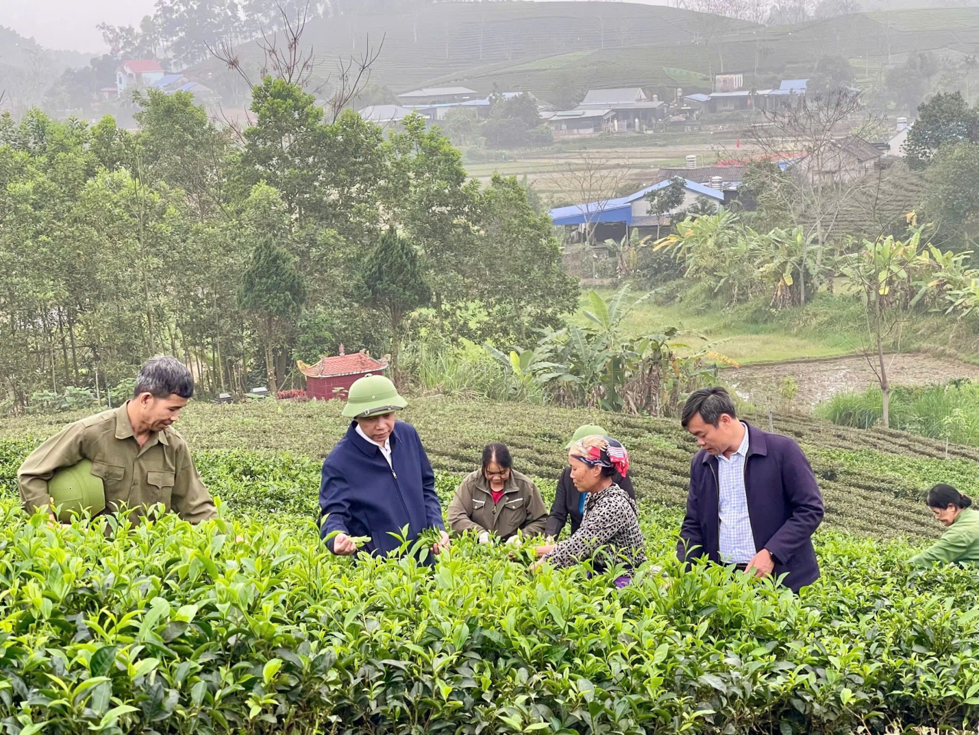 image 20260402175247 4